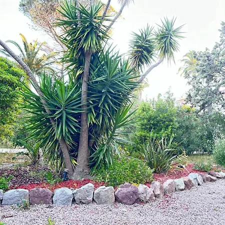 L'agay